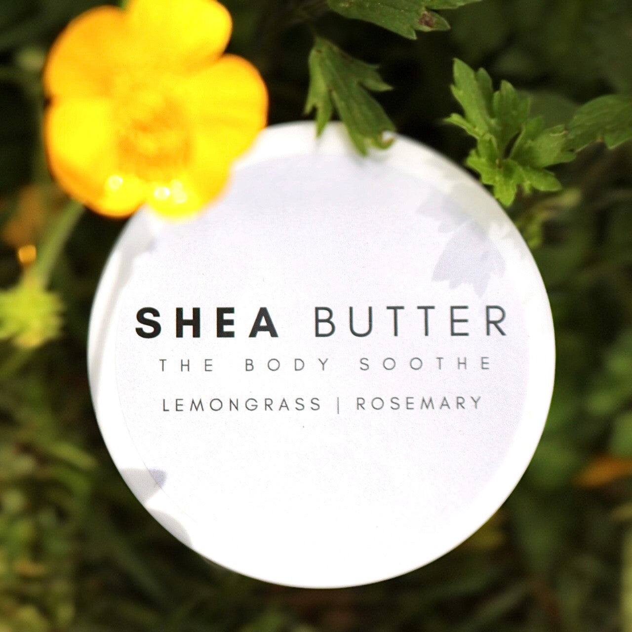 Shea Butter - "The Body Soothe" | 250g | Lemongrass & Rosemary | Handmade in Vancouver
