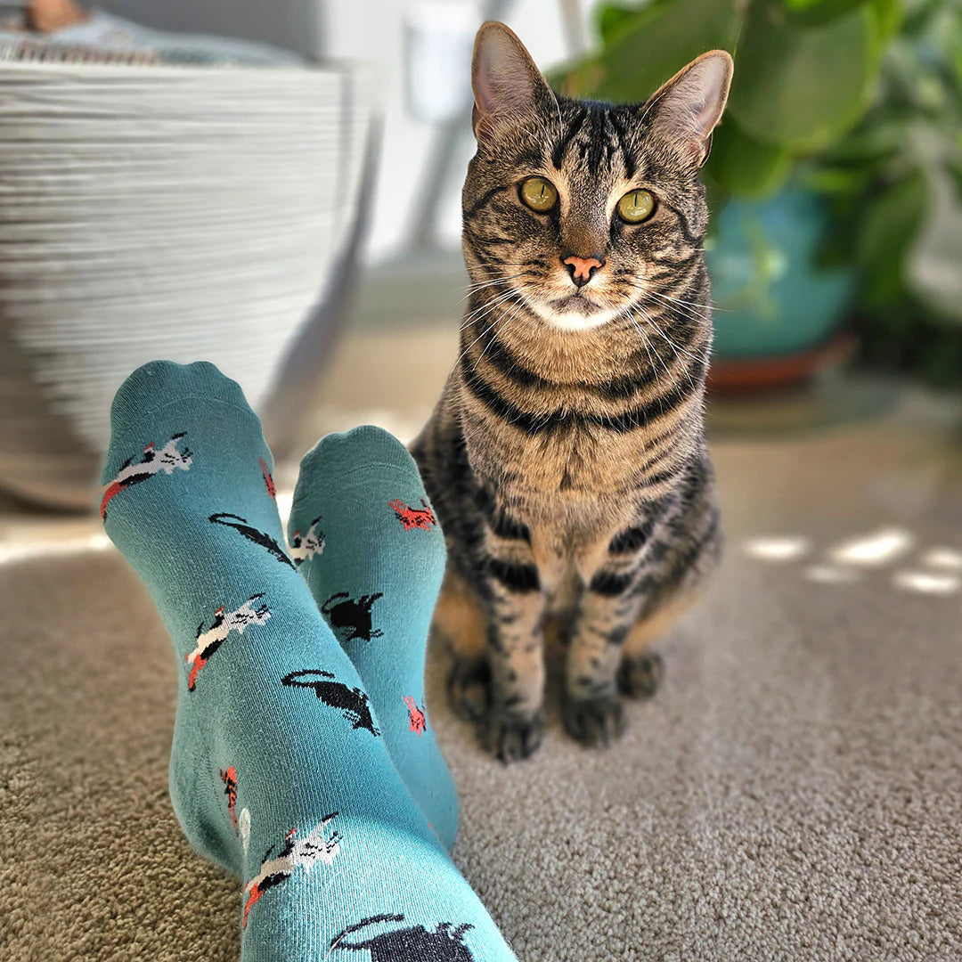 Conscious Step | Socks that Save Cats